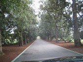 Augusta National 3/17/2010